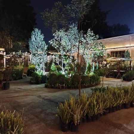מקסיקו סיטי Utopia Hotel Boutique מראה חיצוני תמונה