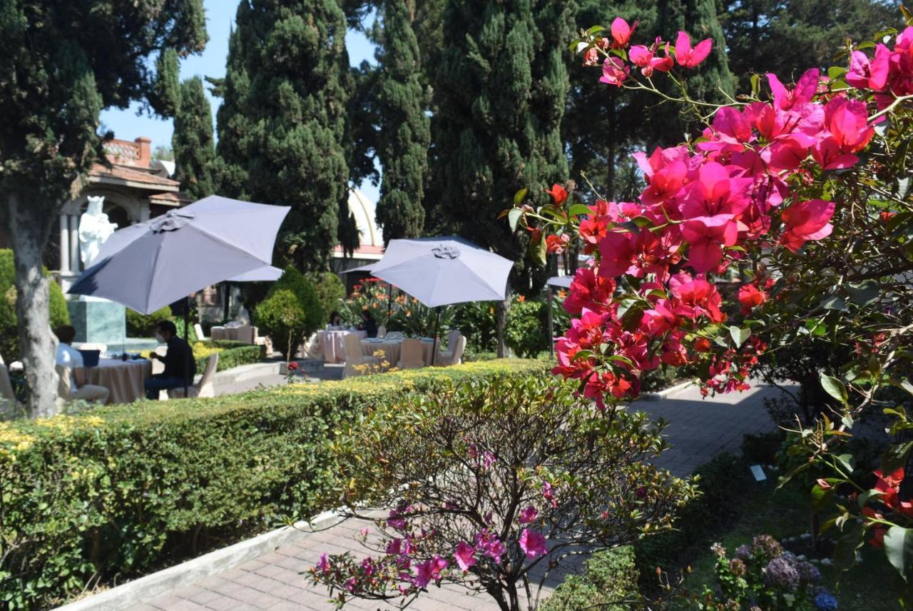 מקסיקו סיטי Utopia Hotel Boutique מראה חיצוני תמונה