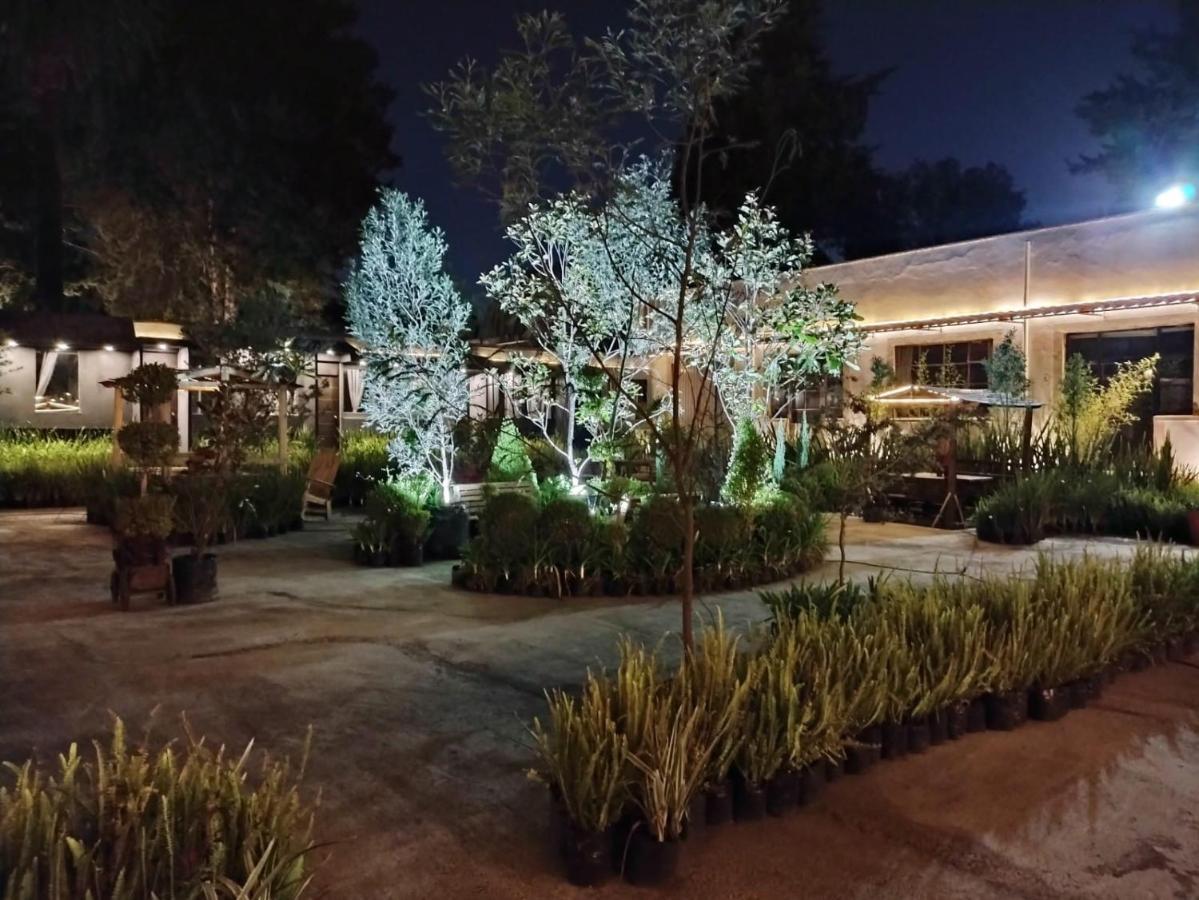 מקסיקו סיטי Utopia Hotel Boutique מראה חיצוני תמונה